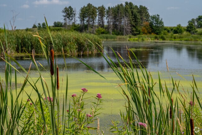 Ponds and wetlands are scattered between the farmland of Stanton.