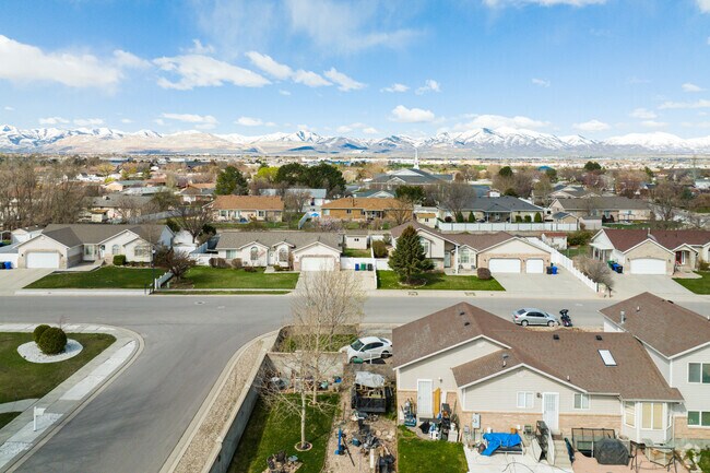 From above, the neighborhood appears as a patchwork of green grassy sidewalks, winding residential streets.