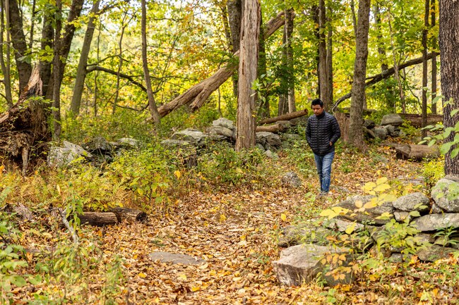 Newman Poses Nature Preserve in Coleytown offers scenic trails and abundant wildlife.