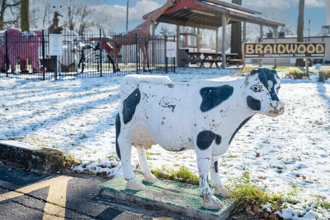 Braidwood, IL is approximately 18 miles south of Joliet, IL.