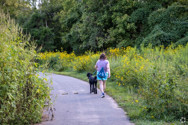Take a walk at the Rockfish Wildlife Sanctuary south of Covesville.
