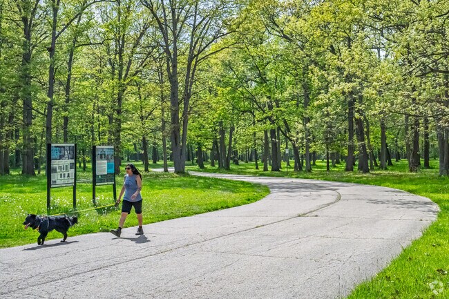 Over a mile of trails perfect for walks loop through the forested expanse of Max Brandon Park.