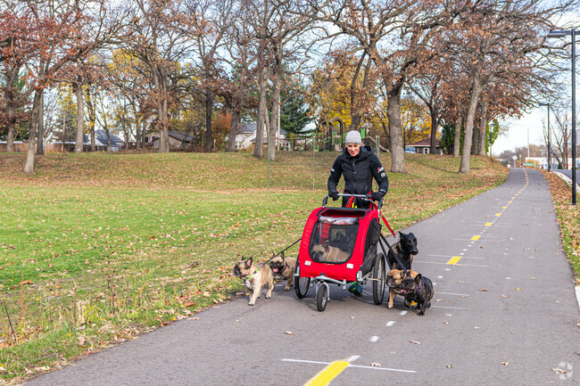 Dog owners make use of the paved trail at Lake Edge Park.