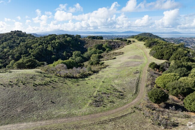 Spend the day exploring the beautiful Sobrante Ridge Regional Preserve.