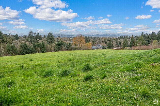 Fields Rippling in the Wind at Dickinson Park in Crestwood Portland