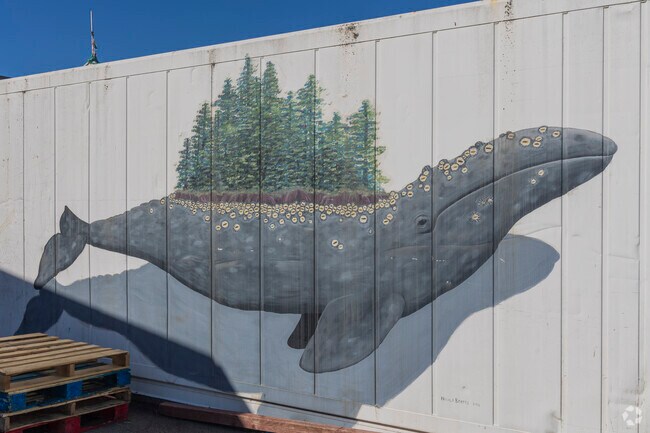 Many murals of whales can be found throughout Fort Bragg, celebrating its whale watching history.