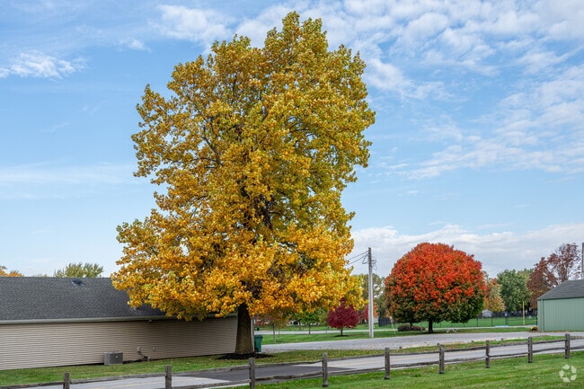 Fall foliage is hard to beat in Scamahorn Park in Pittsboro.