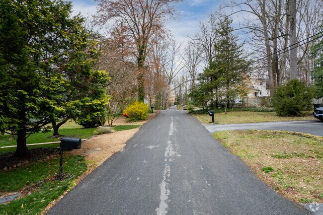 Street View in Neighborhood