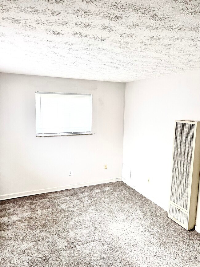 newly carpeted bedroom with closet and large windows