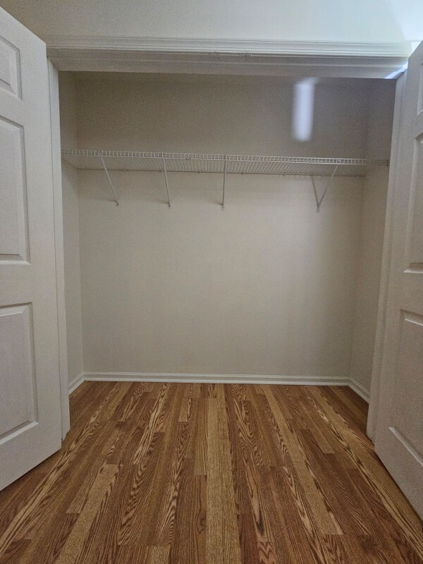 90 Gillespie Rd, Bloomfield, NJ 07003 - photo 4