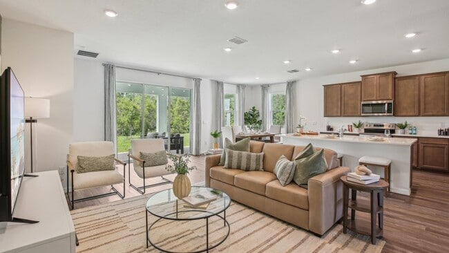 3905 Sunny Spring St, Plant City, FL 33565 - photo 6