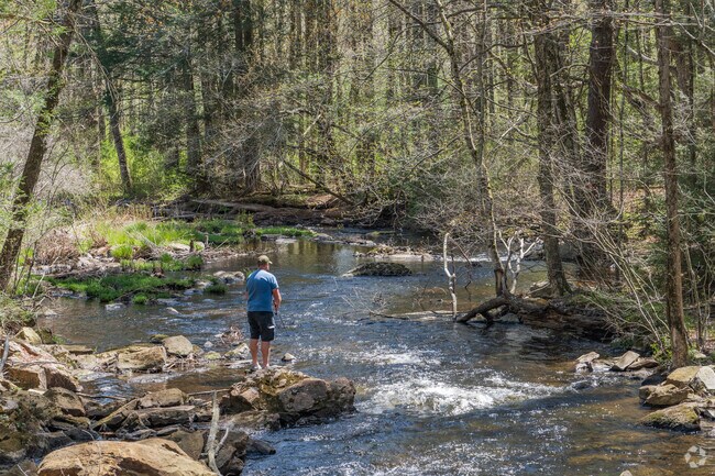 Yale-Myers Forest near Eastford offers calm trails and scenic Connecticut woodland.