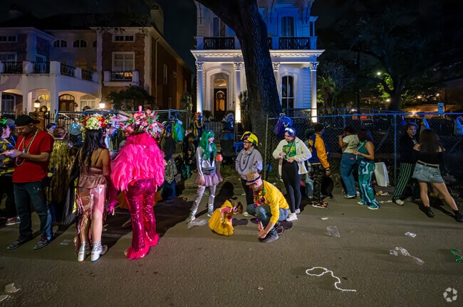 Mardi Gras parade goers wait patiently for the next float in the Garden District.