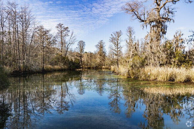 Explore beautiful, lush landscapes and scenic views of the marsh in Moncks Corner.