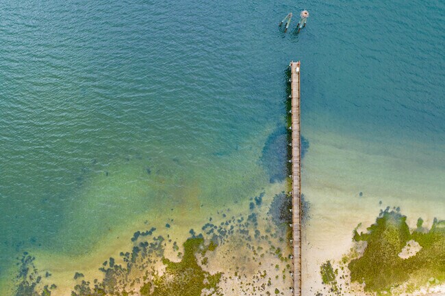 At the end of this dock in Cove Neck sits a lone osprey.