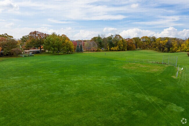 Furry friends love the open space to run at Jefferson Park in Villa Park.