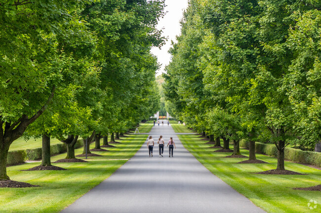 Take a stroll through the shady trails at the Nemours Estate in Fairfax.