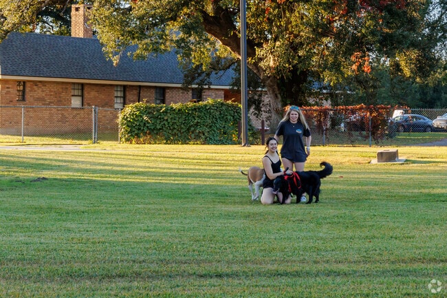 Dogs enjoy evening playdates at Bourgeois Park in Lafayette.