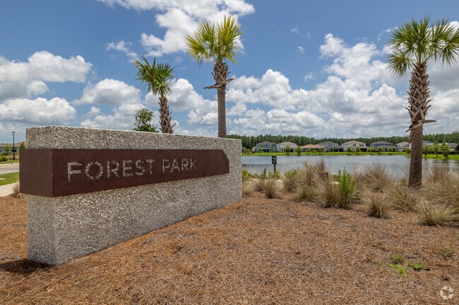 Forest Park is another subdivision within Wildlight that offers beautiful new homes.
