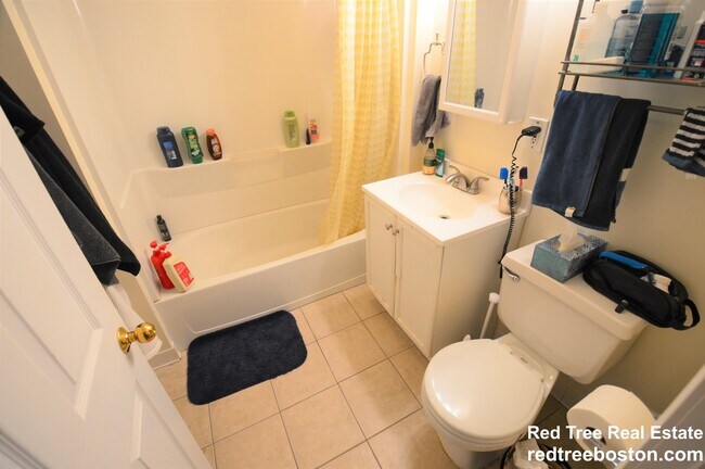 318 Saint Paul St unit 3, Brookline, MA 02446 - photo 5