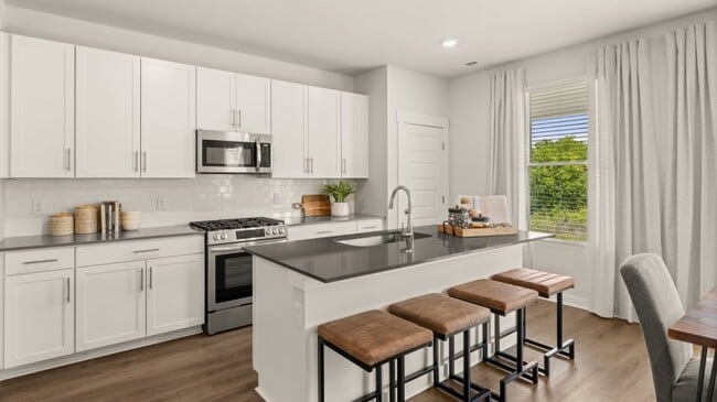 1056 Mourning Cloak Dr, Clarksville, TN 37043 - photo 3