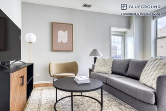 911 W School St Unit FL3-ID458, Chicago, IL 60657