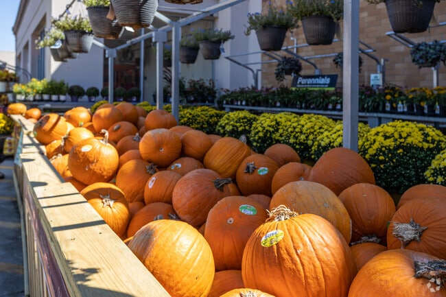 The Lawn in Lindbergh is home to many events and pop up markets throughout the year.