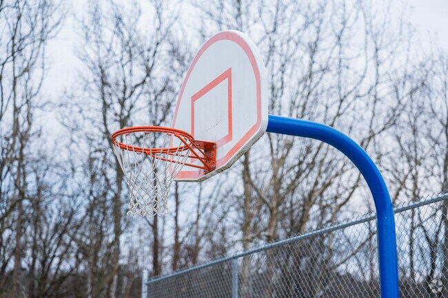 A basketball hoop stands tall in Spring Grove.