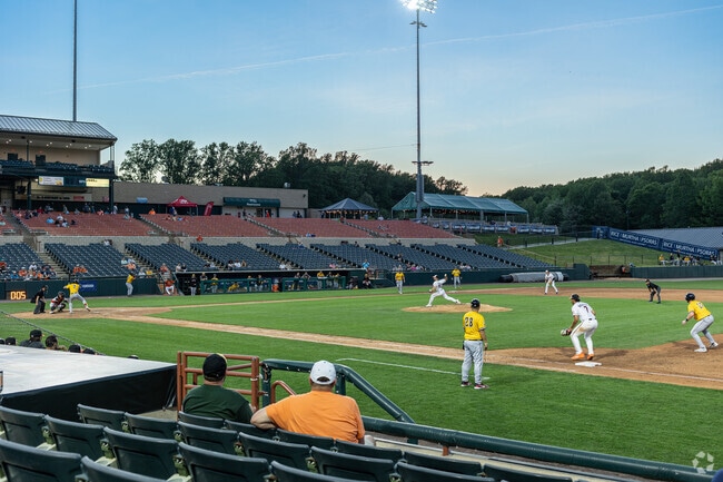 The Bowie Baysox are an AA minor league baseball team a short drive from Queen Anne.