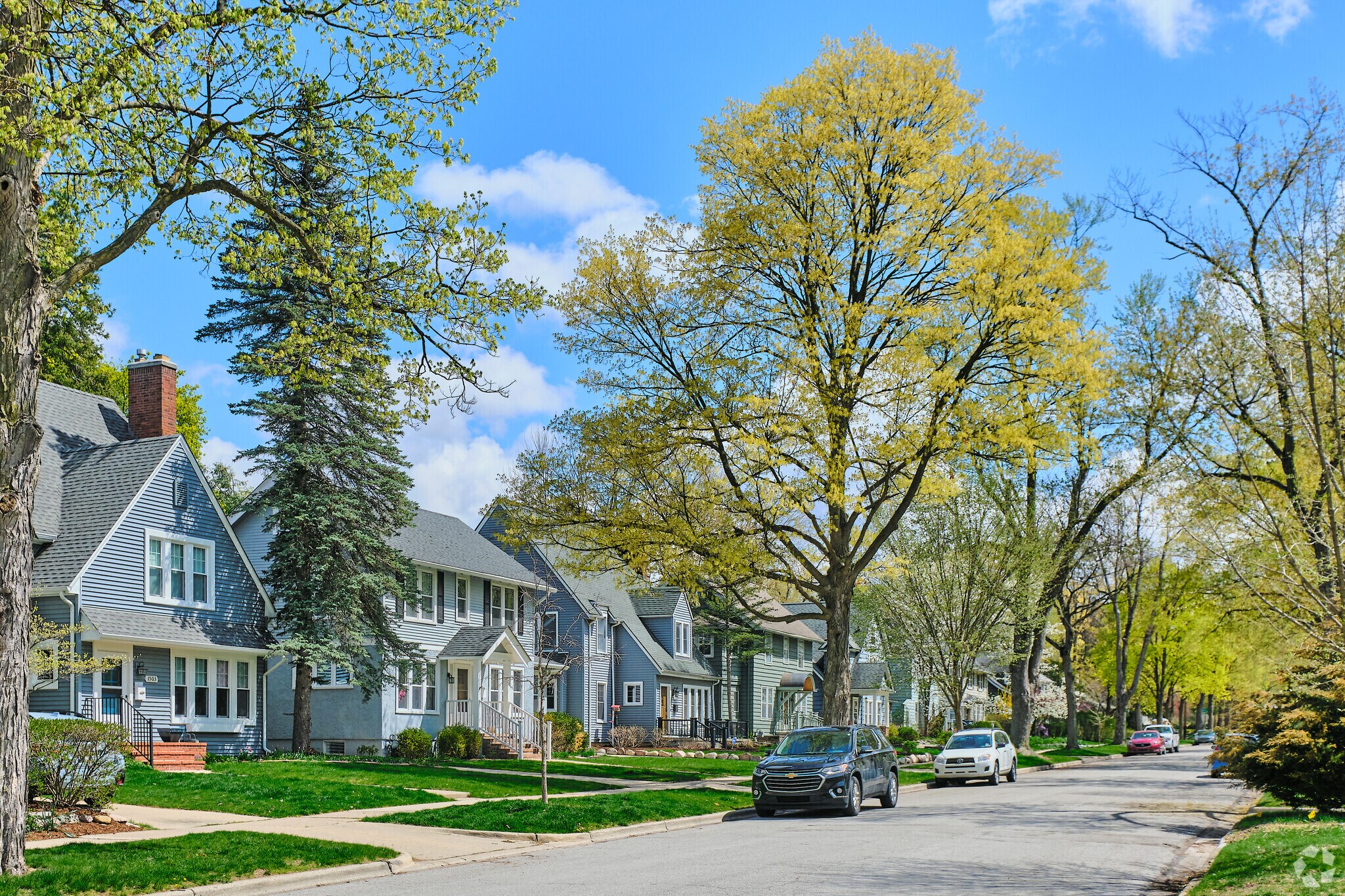 Home styles in North Burns Park are eccentric amidst thick stretches of deciduous trees.