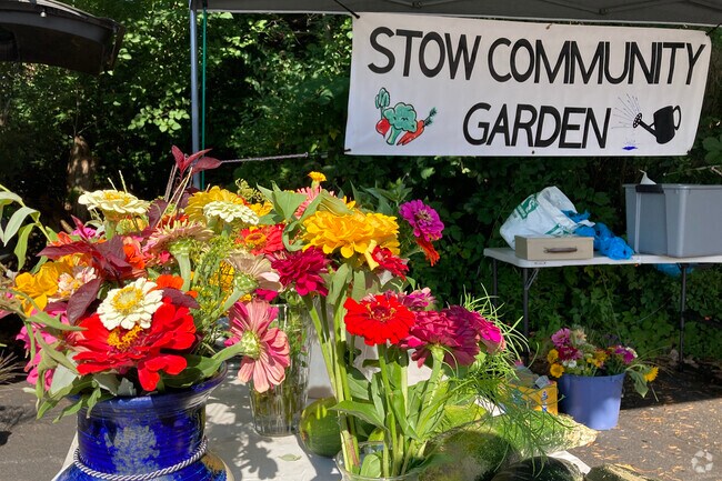 Fresh flowers bloom in the Stow Community Garden.
