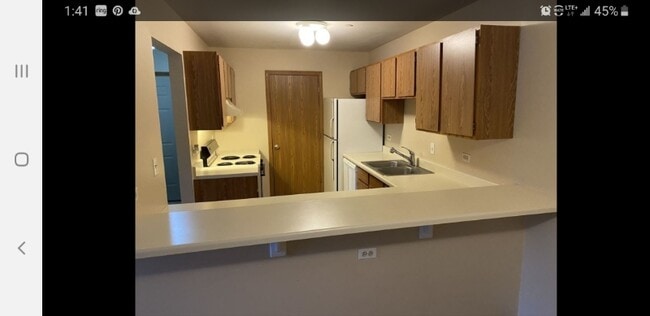 1371 Cunat Ct, Lake In the Hills, IL 60156 - photo 2