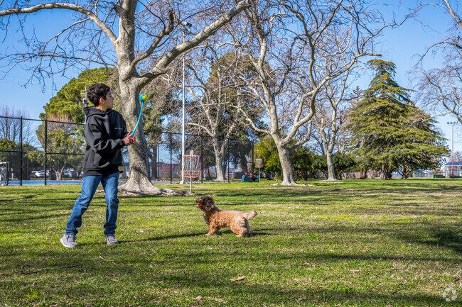 A boy is enjoying playing catch with his dog at Vinsonhaler Park in Orland.