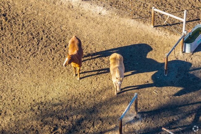 Don't be surprised to find goats or horses living next door to you in Eiber.