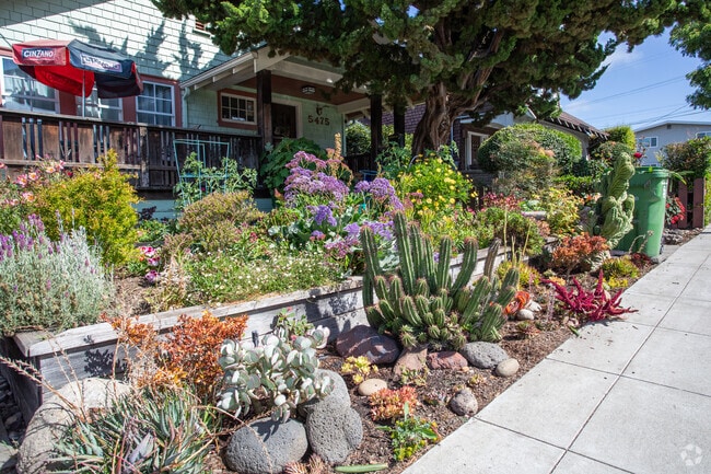 Many of the gardens in Shafter are lush and full of native California plants.