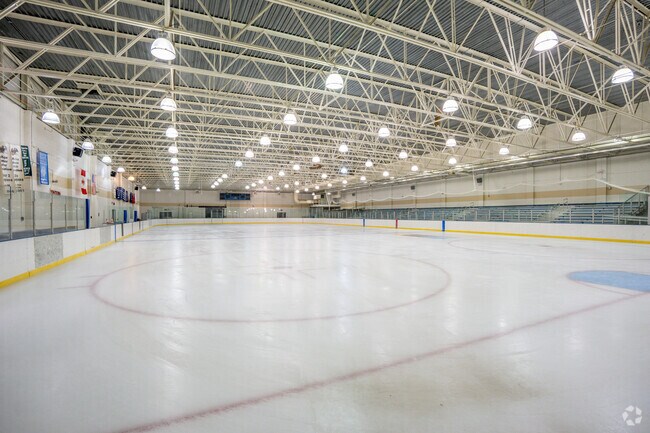 Enjoy Detroit's only indoor skating rink at Adams Butzel Complex in Bethune Community.