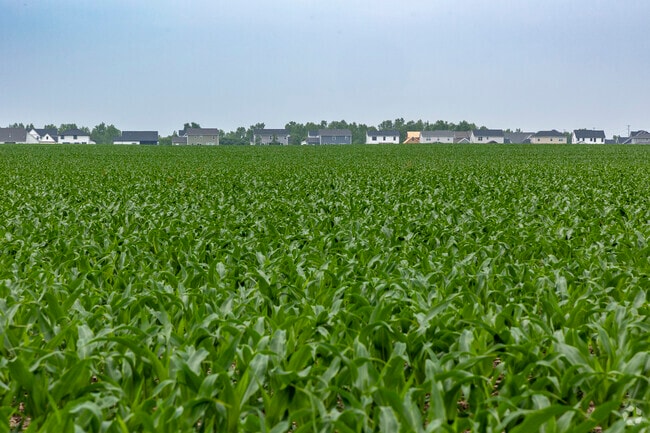 Savoy is a rural suburb of Champaign in the heart of corn country in Illinois.