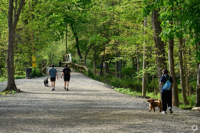 Leashed pups are welcome at the Ramapo Valley Reservation.