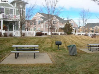 1907 Grays Peak Dr, Loveland, CO 80538
