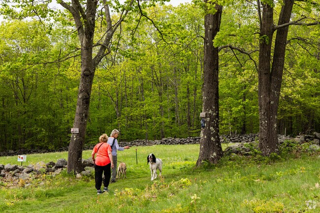 Residents and their pups love to walk the trails through Cutbrook Tree Farm.