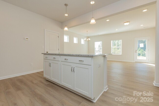 6024 Jasmine Branch Rd, Charlotte, NC 28216 - photo 5