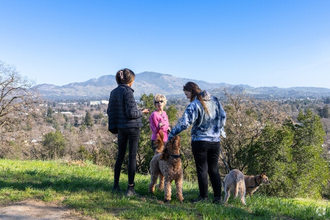 Explore the unique Dinosaur Hill in Reliez Valley Area, a hidden gem with a rich history and scenic beauty.