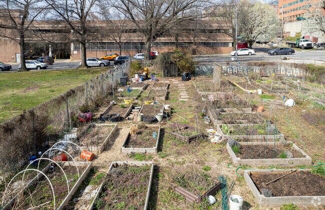 City Springs Park's Offers A   Community Garden