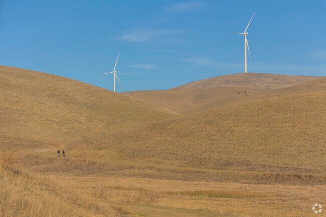 Springtown's Brushy Peak has trails that get close to the iconic windmills.
