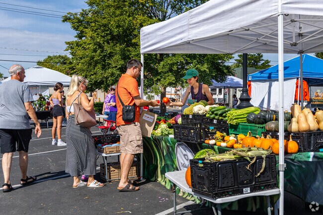 Buy produce from local farmers at Mundelein Farmer's Market.
