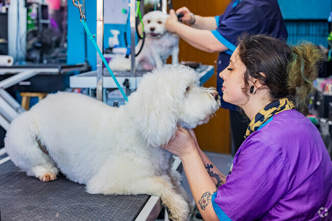 Pawsh on 2nd near Kimberly Crossing offers quality grooming services for local pets.