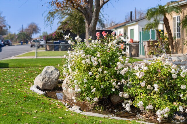 A Southgate resident loves to share their roses with their neighbors.