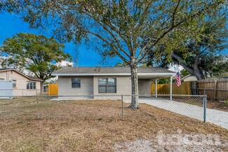 14931 Pine Crest Rd, Tampa, FL 33613