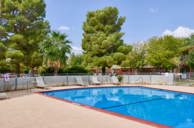 8700 Norton St unit 37-B06, El Paso, TX 79904 - photo 7