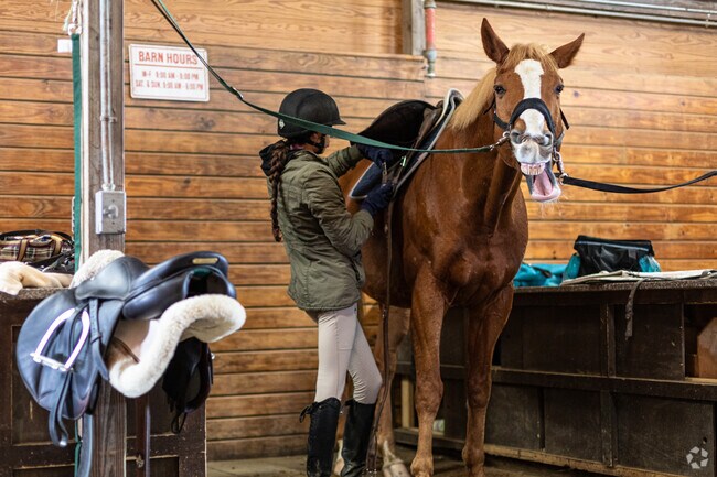 Marlboro Ridge Equestrian Center is a well appointed riding and boarding facility